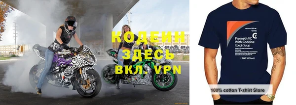 шишки Инсар