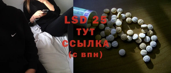 шишки Инсар