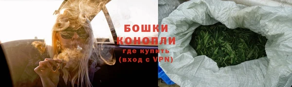 шишки Инсар