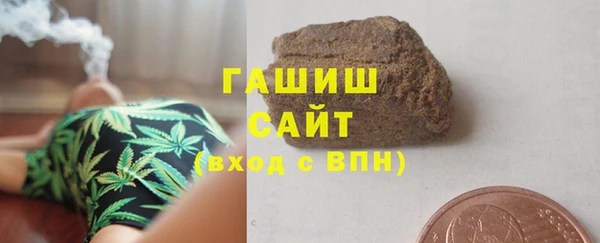 шишки Инсар