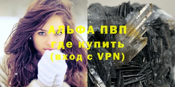 шишки Инсар