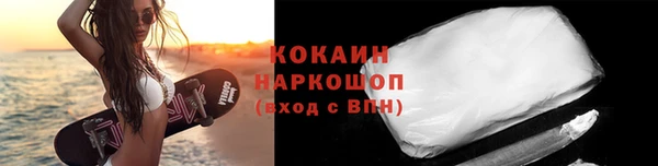 шишки Инсар