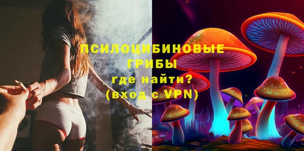 шишки Инсар