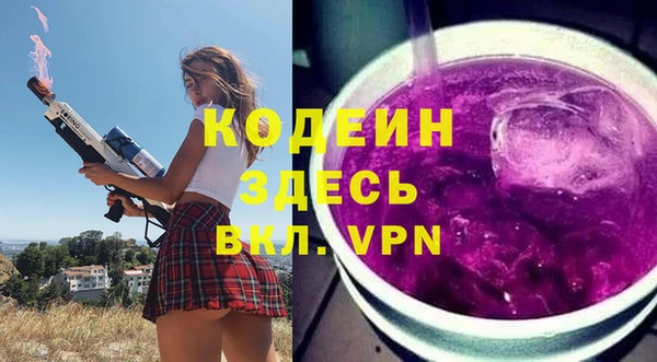 шишки Инсар