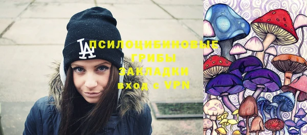 ешки Иннополис