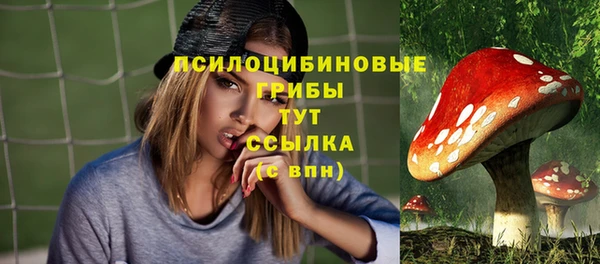 ешки Иннополис