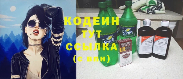 шишки Инсар