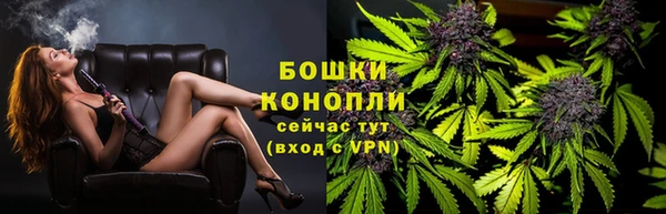 ешки Иннополис