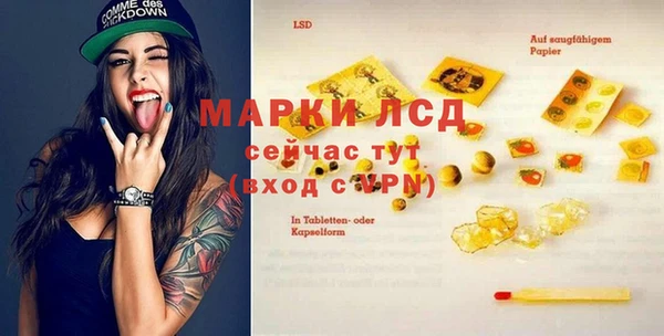 шишки Инсар