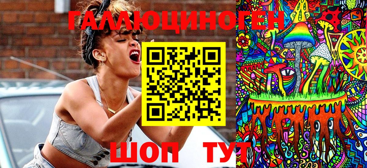 Псилоцибиновые грибы Psilocybe Чайковский